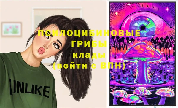 не бодяженный Арсеньев