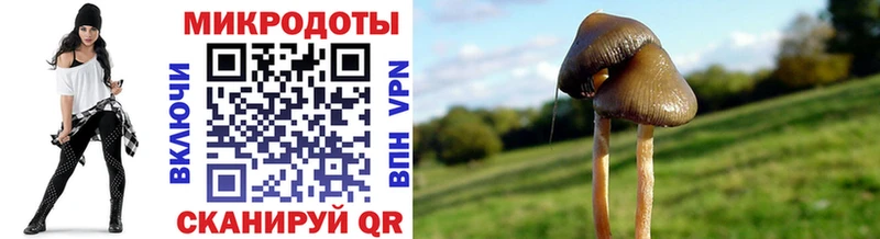 Галлюциногенные грибы прущие грибы  наркошоп  Кулебаки 