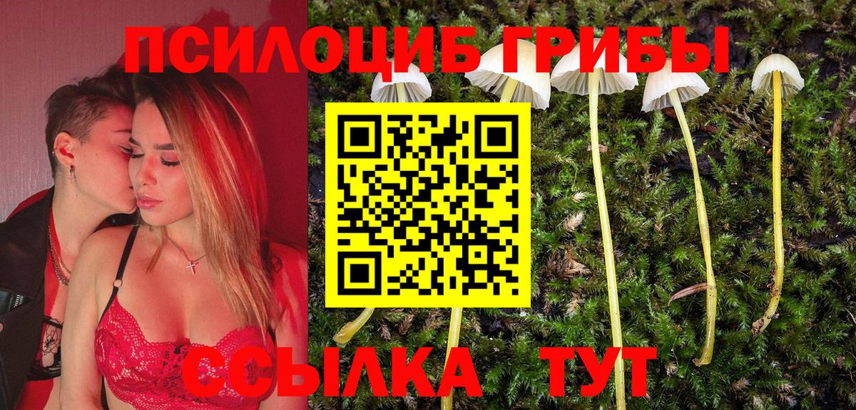 Кулебаки  Галлюциногенные грибы прущие грибы  Вход с VPN 